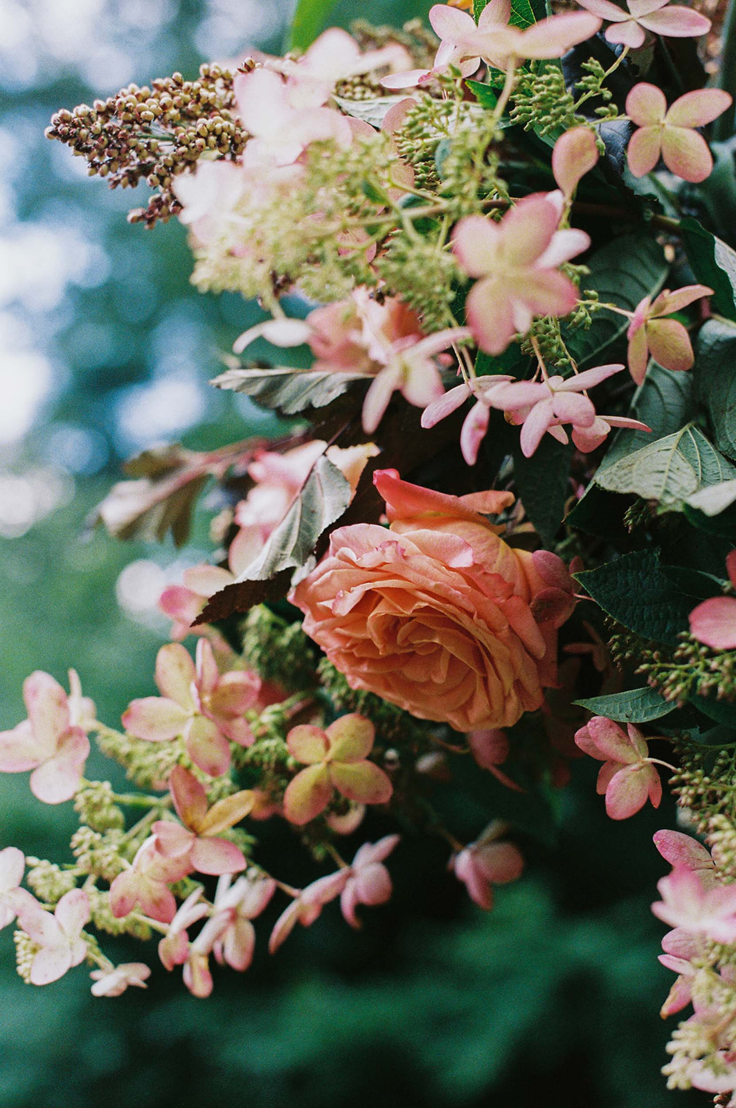 film-wedding-photos-new-york-5.JPG