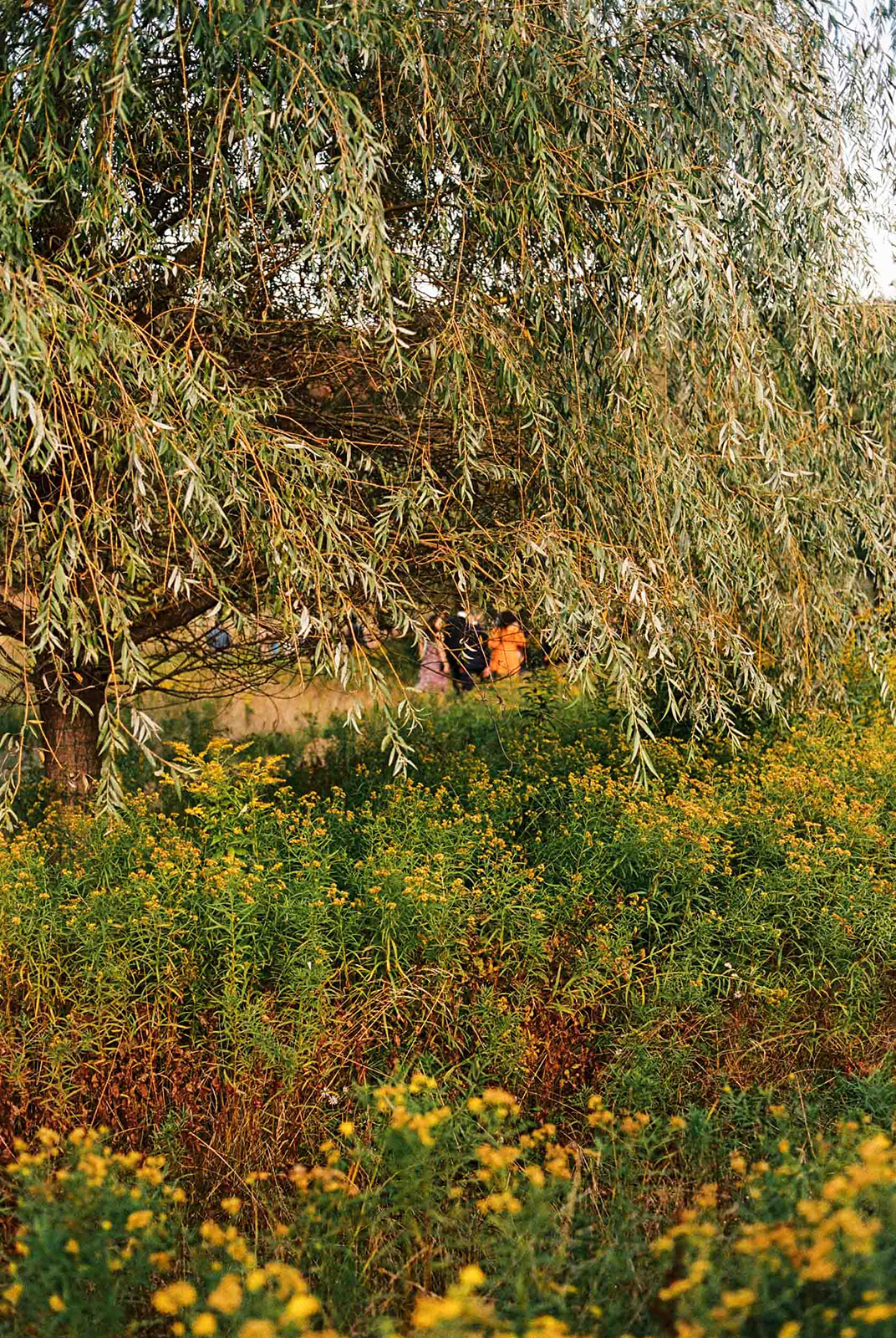 film-wedding-photos-new-york-39.JPG