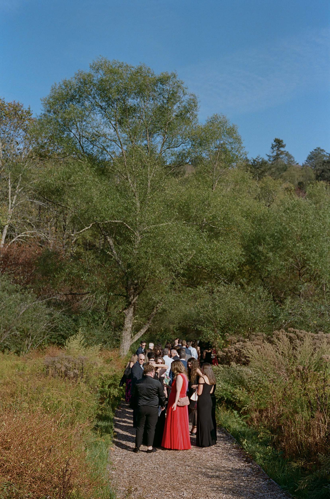 film-wedding-photos-new-york-117.JPG