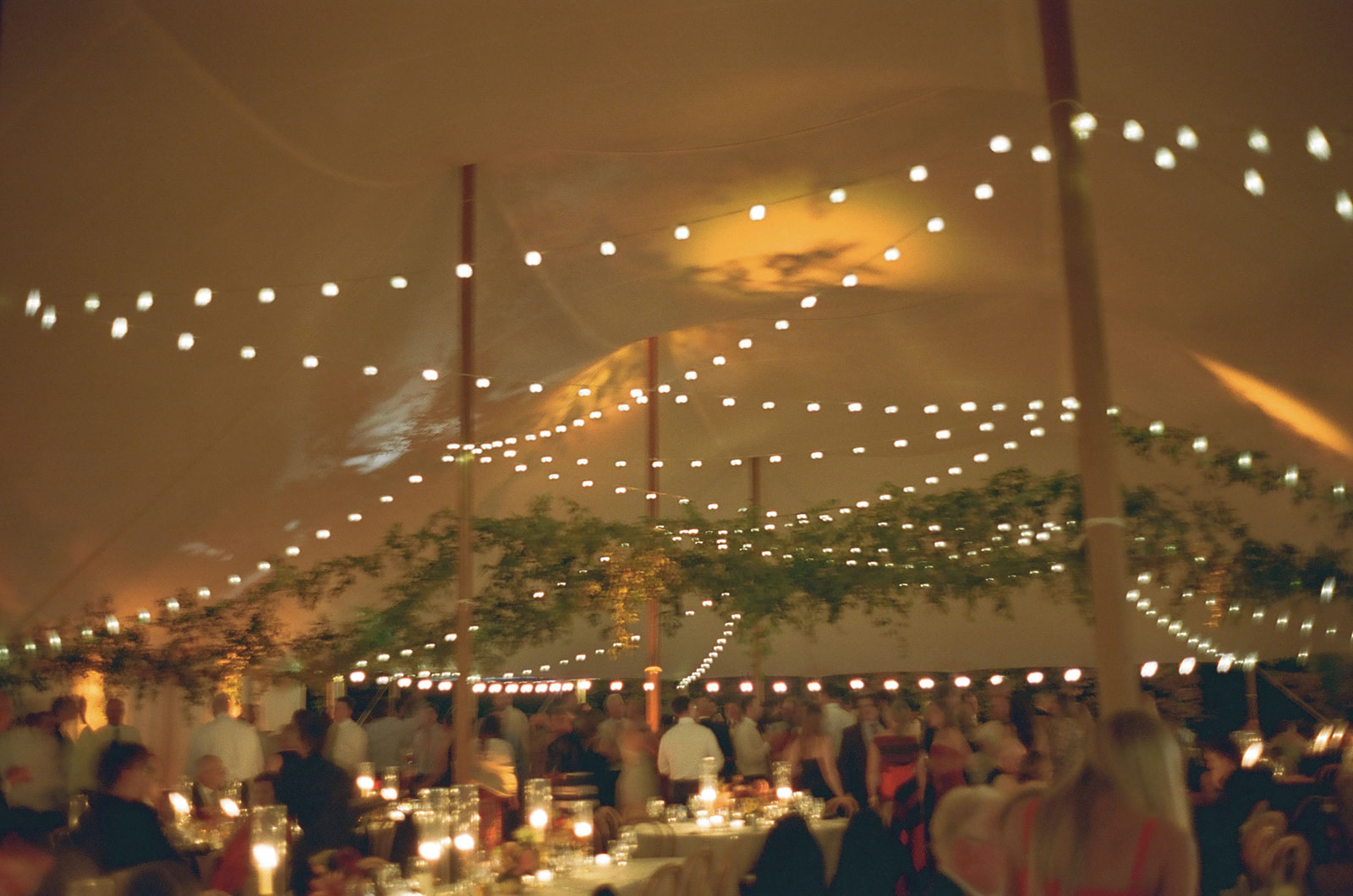film-wedding-photos-new-york-142.JPG