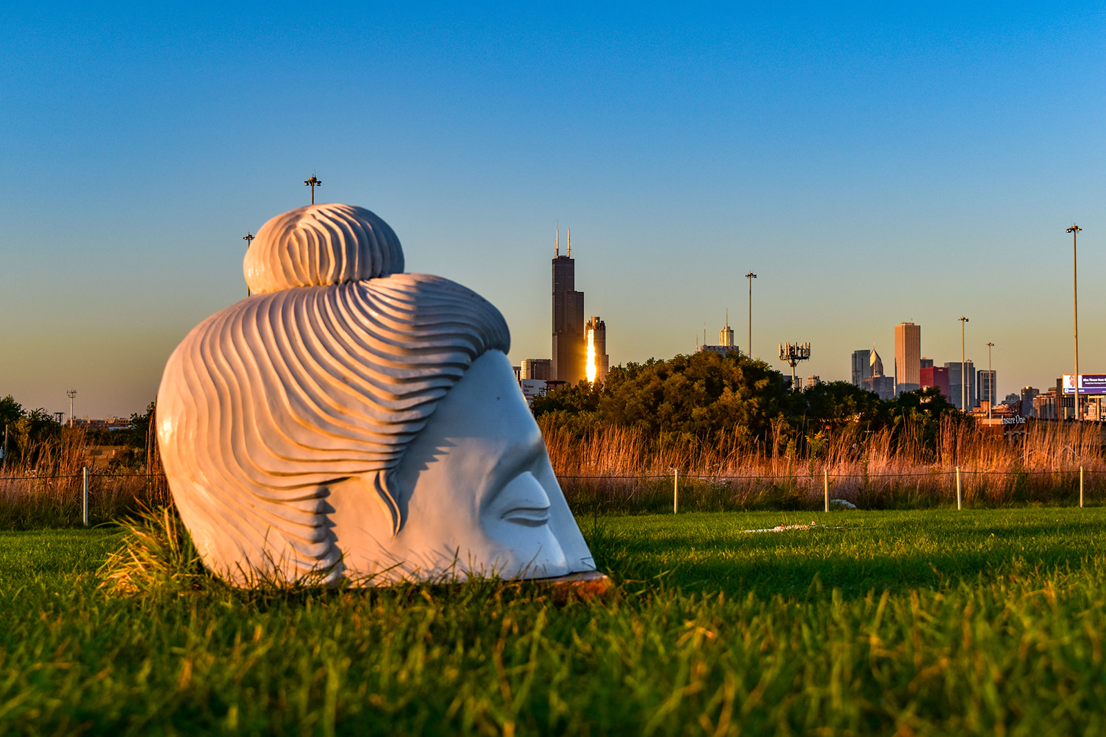 Illinois_ChicagoCityscapes_0001.JPG